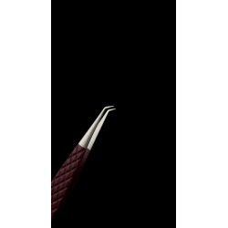 ALMA DANYA / DANYA SOFT